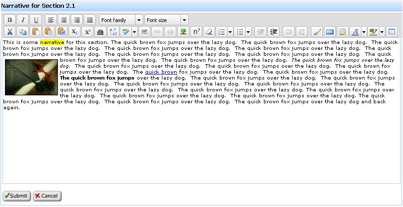text-editor